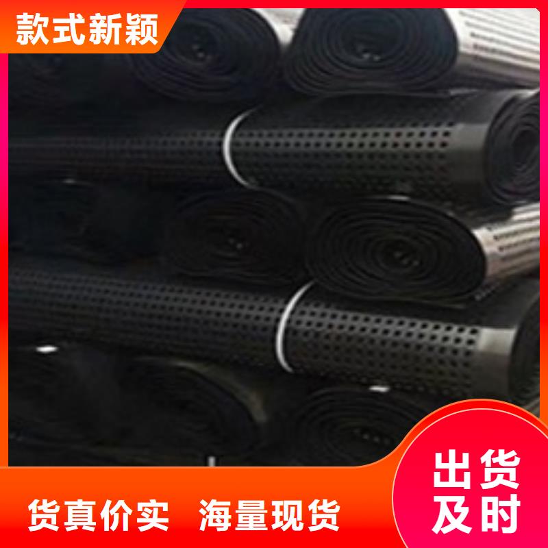 排水板-蓄水板實(shí)力商家供貨穩(wěn)定