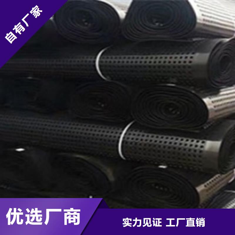 排水板三維植被網(wǎng)支持非標(biāo)定制