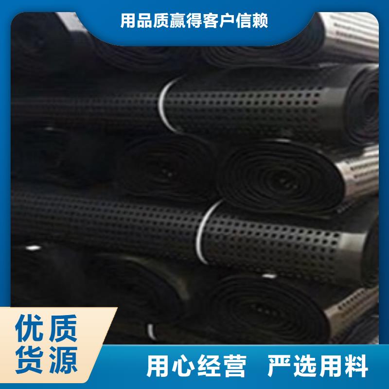 排水板三維植被網(wǎng)優(yōu)選貨源