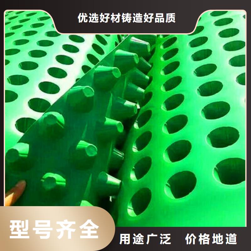 排水板-蓄水板實(shí)力商家供貨穩(wěn)定