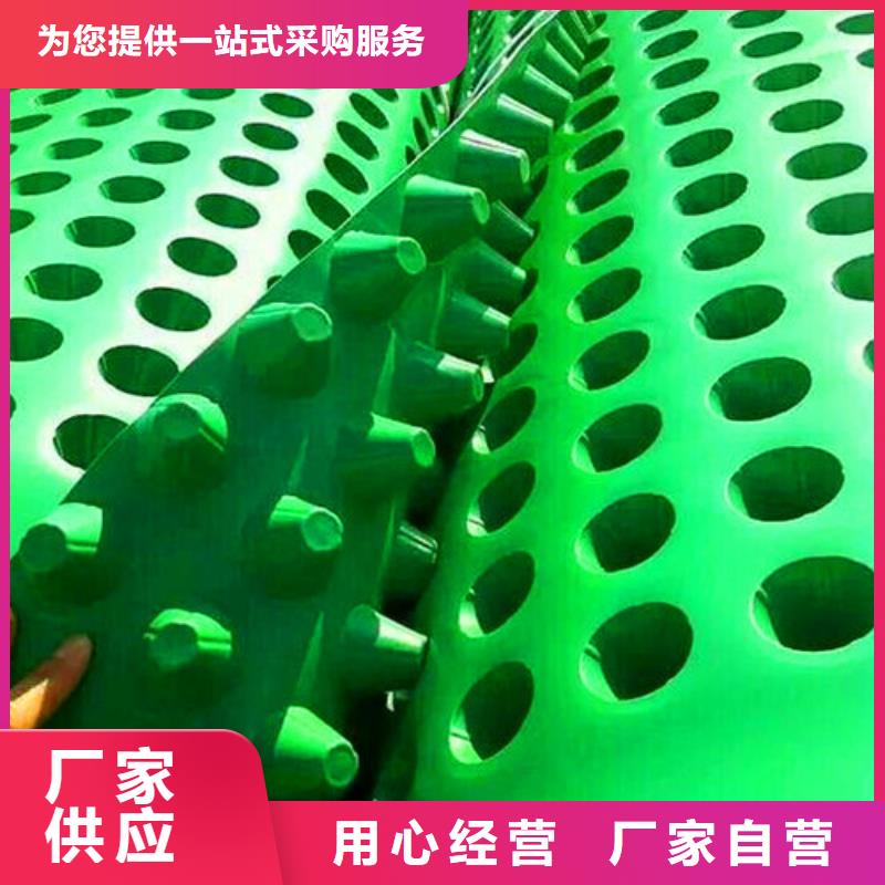 排水板三維植被網(wǎng)支持非標(biāo)定制