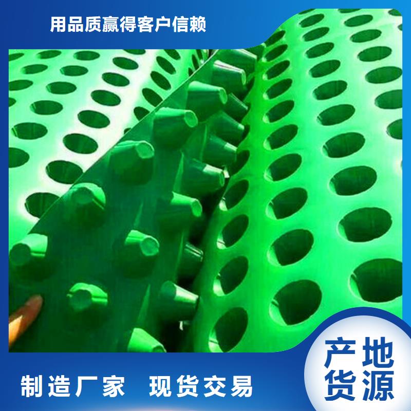 排水板三維植被網(wǎng)優(yōu)選貨源