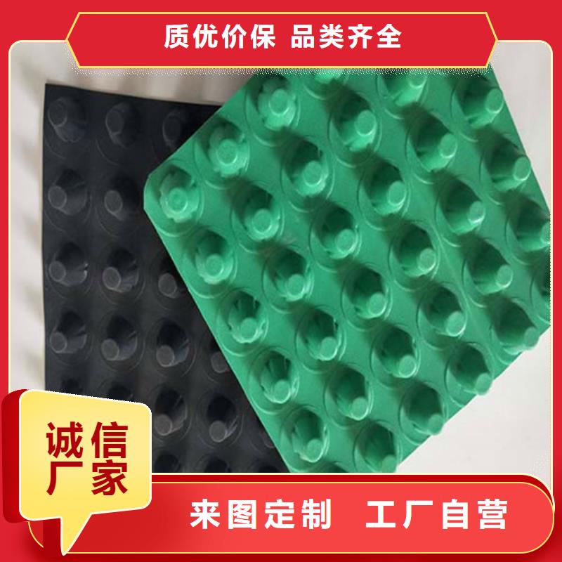 排水板三維植被網(wǎng)優(yōu)選貨源