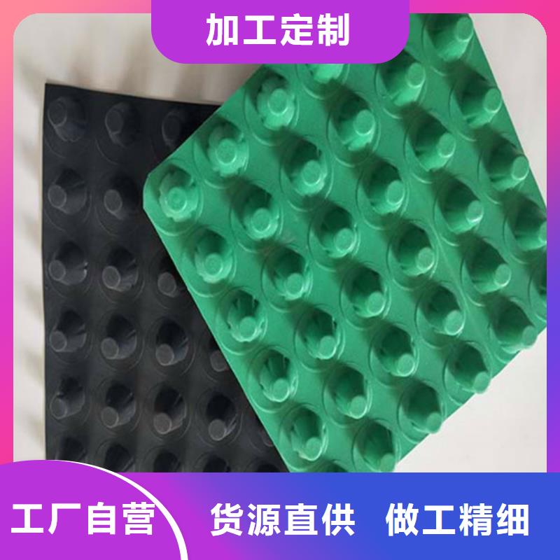 排水板-蓄水板實(shí)力商家供貨穩(wěn)定