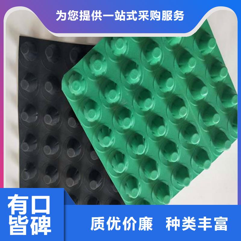 排水板-濾水板質(zhì)量?jī)?yōu)價(jià)格低