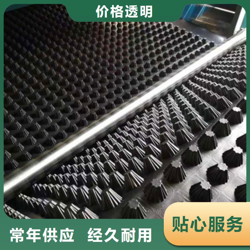 排水板三維植被網(wǎng)優(yōu)選貨源