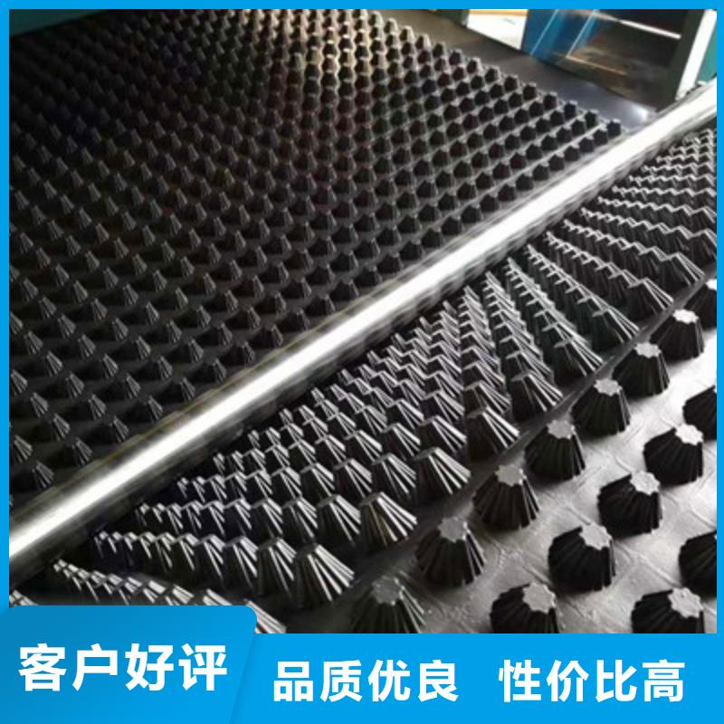 排水板三維植被網(wǎng)支持非標(biāo)定制