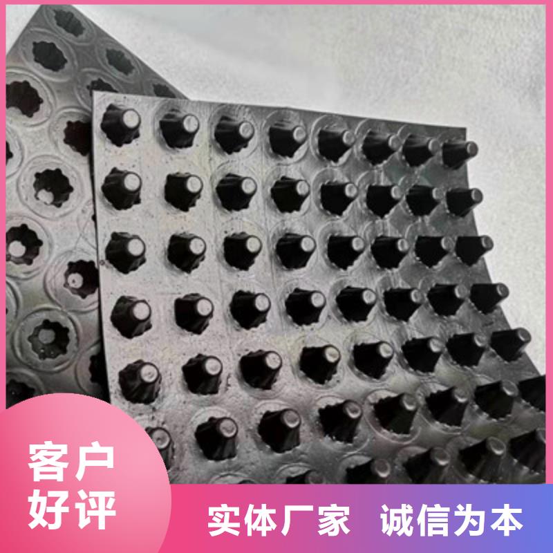 排水板三維植被網(wǎng)支持非標(biāo)定制