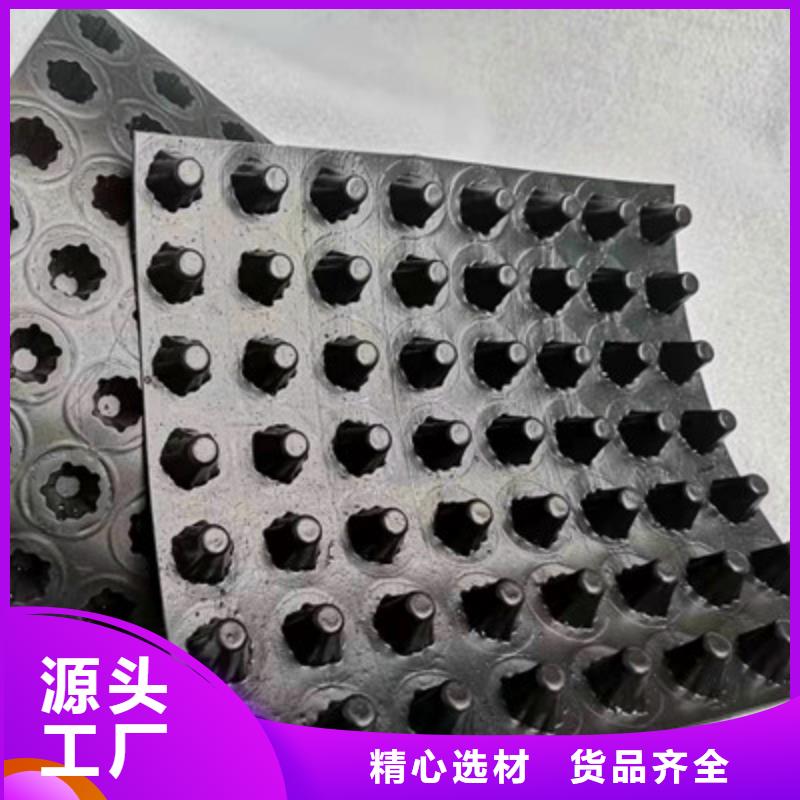 排水板三維植被網(wǎng)優(yōu)選貨源
