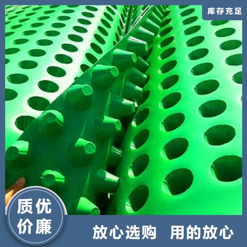 排水板三維植被網(wǎng)質(zhì)量優(yōu)價格低