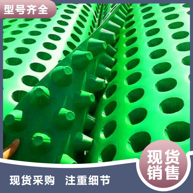 排水板-蓄水板實(shí)力商家供貨穩(wěn)定