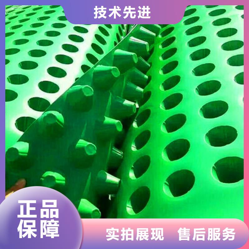 排水板三維植被網(wǎng)優(yōu)選貨源
