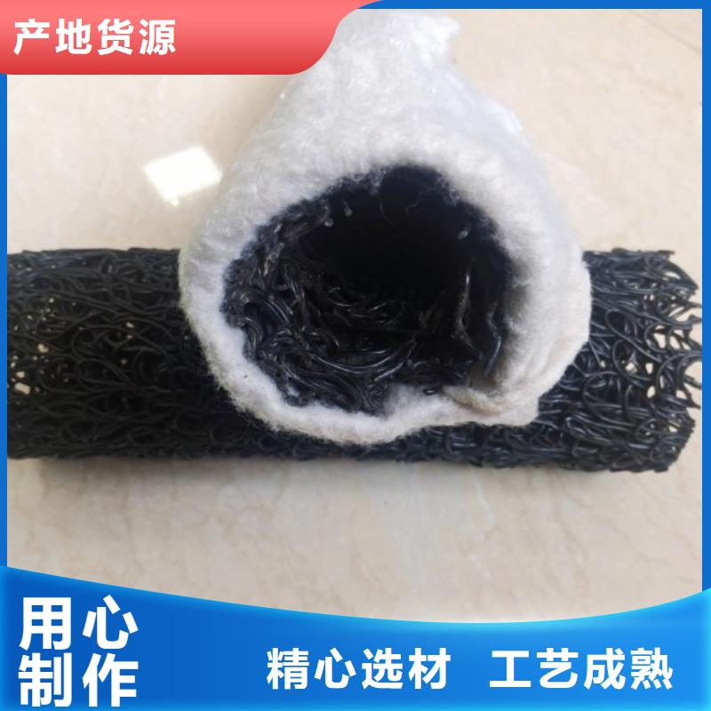 塑料盲沟三维植被网源头厂源头货