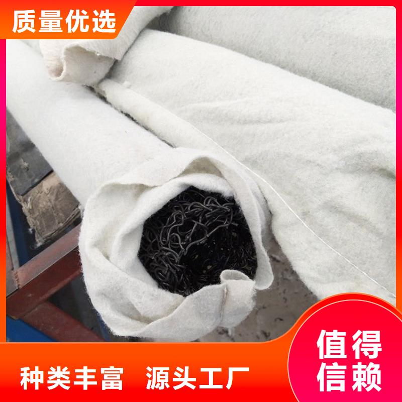 塑料盲沟_滤水板专业生产团队