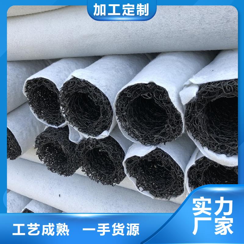 塑料盲沟土工膜原厂制造