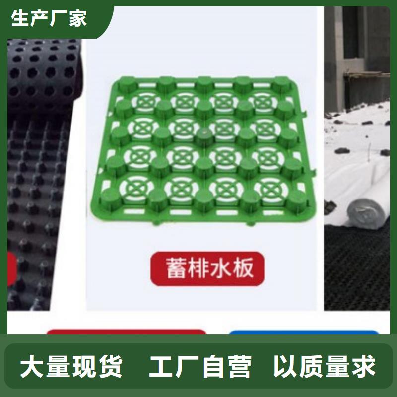 塑料盲沟塑料排水板货品齐全