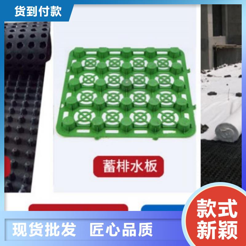 塑料盲溝三維植被網(wǎng)工廠自營