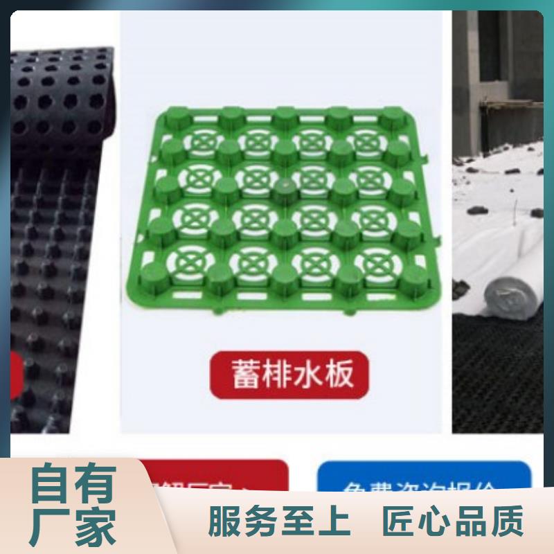 【塑料盲溝,植草格源頭直供】