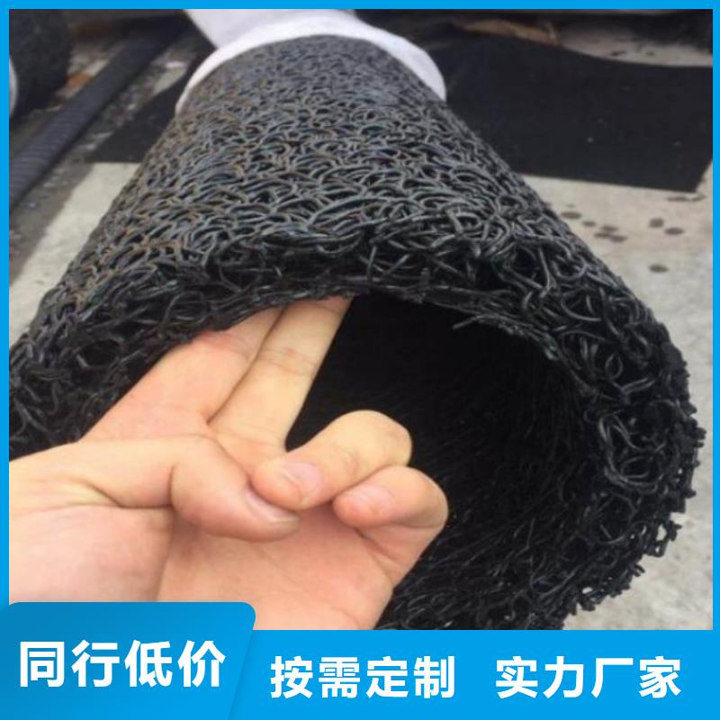 塑料盲溝 三維植被網(wǎng)產(chǎn)品實(shí)拍