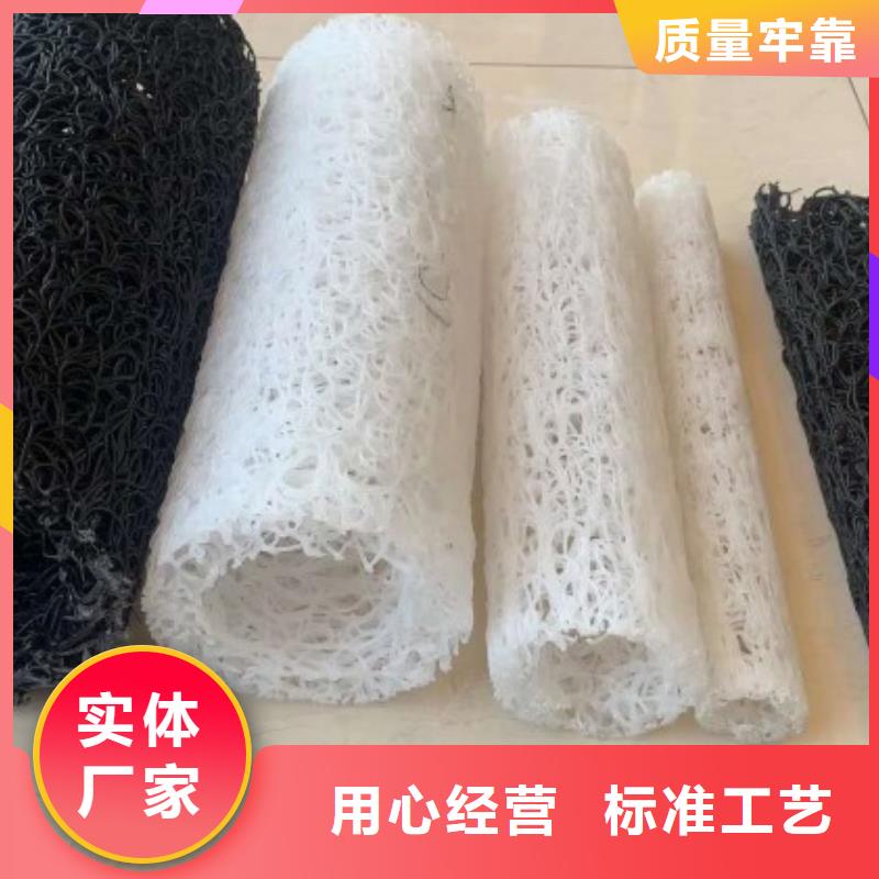 【塑料盲溝】_車庫(kù)排水板歡迎來(lái)廠考察