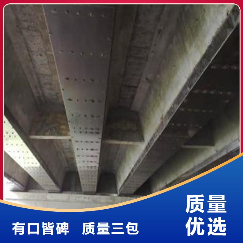 JGN型結(jié)構(gòu)膠公司