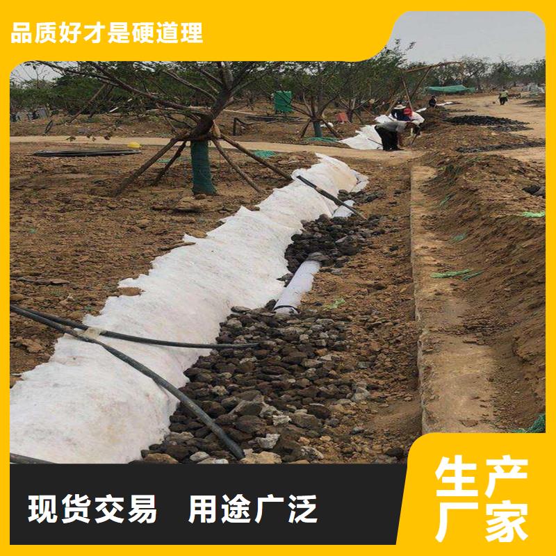 軟式透水管規(guī)格型號(hào)供不應(yīng)求