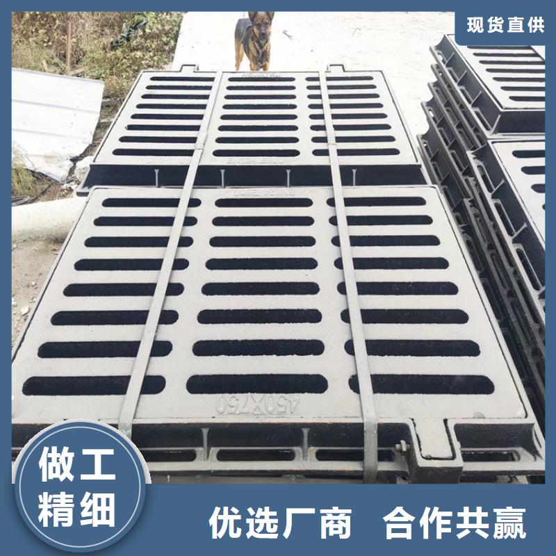 球墨铸铁篦子_雨水排水箅子值得信赖