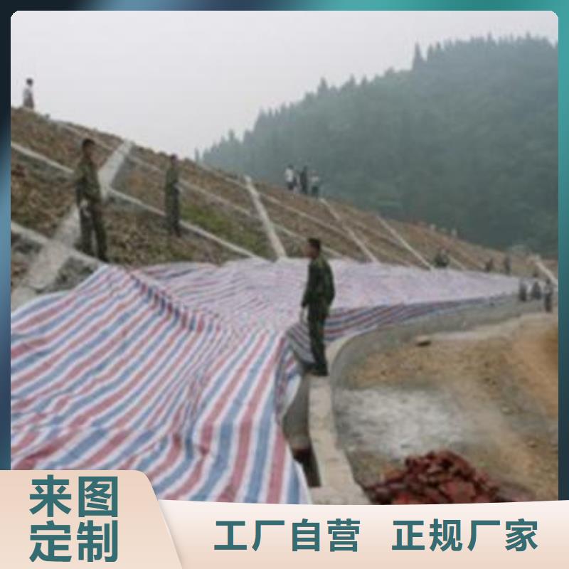 彩條布pe防水防曬防雨布精品選購