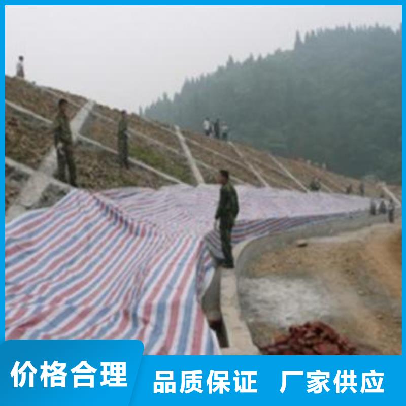 靠谱的120克国标防汛彩条布批发商