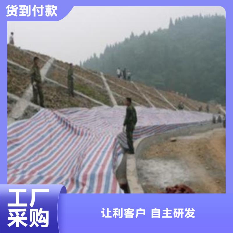 彩條布塑料雨布彩條布性價(jià)比高