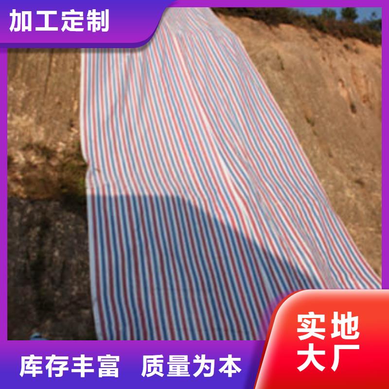 彩條布雙覆膜彩條布定制銷售售后為一體