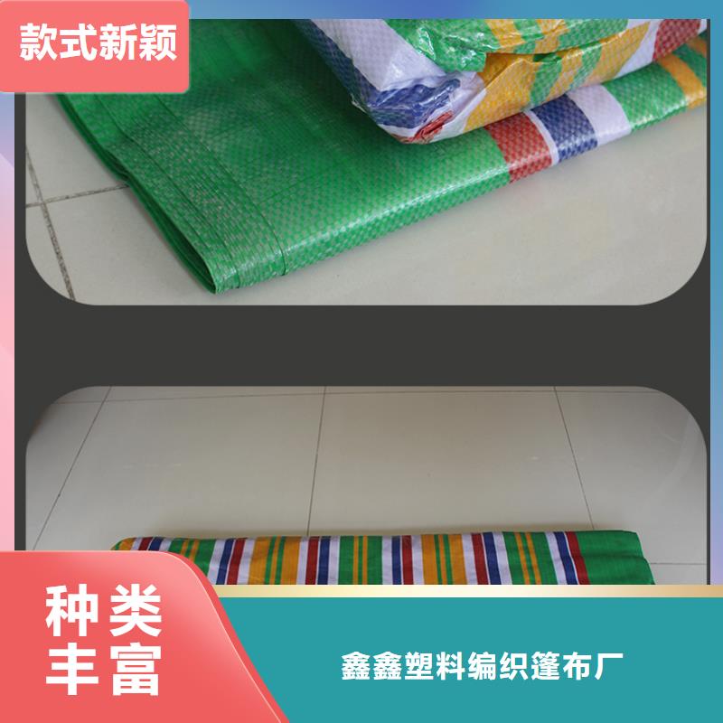 彩条布_绿化防寒布快速发货
