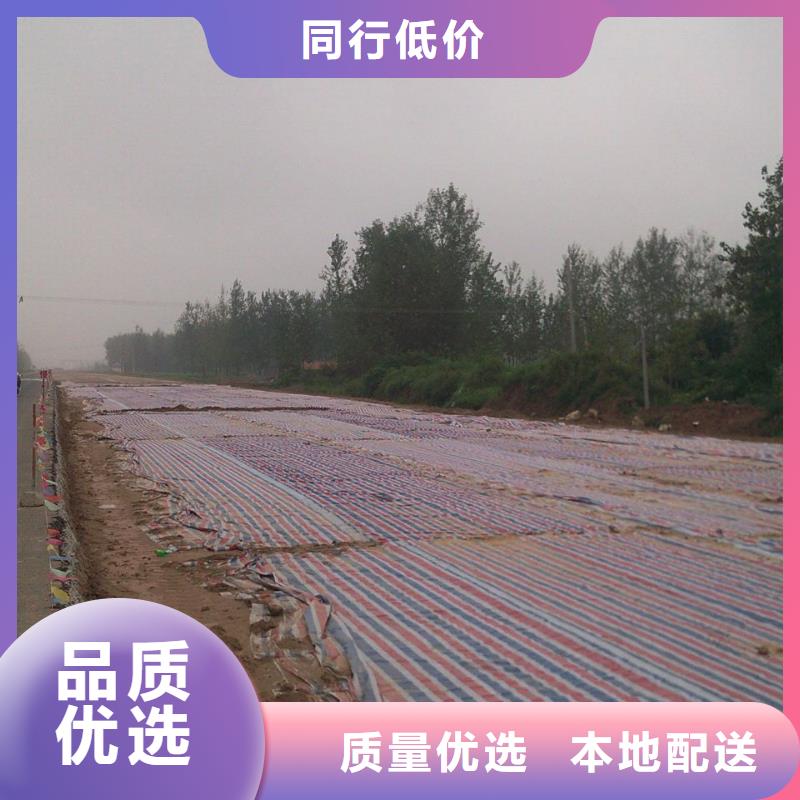 彩條布加厚防雨布質(zhì)量?jī)?yōu)價(jià)格低