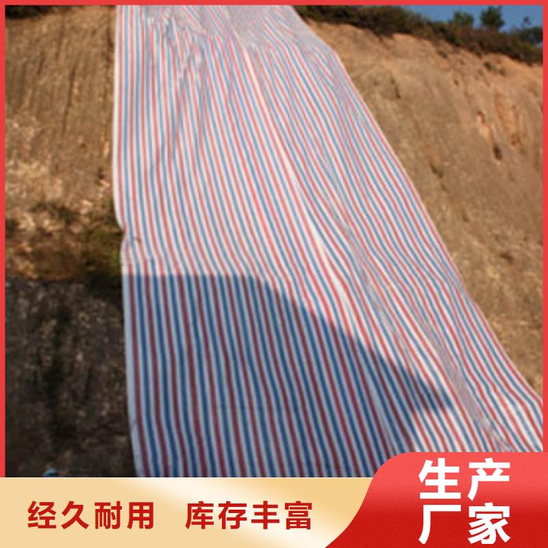 彩條布加厚防雨布質(zhì)量?jī)?yōu)價(jià)格低