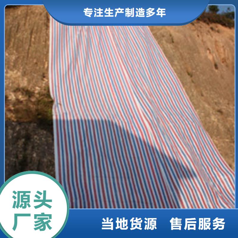 彩條布加厚防雨布質(zhì)量?jī)?yōu)價(jià)格低