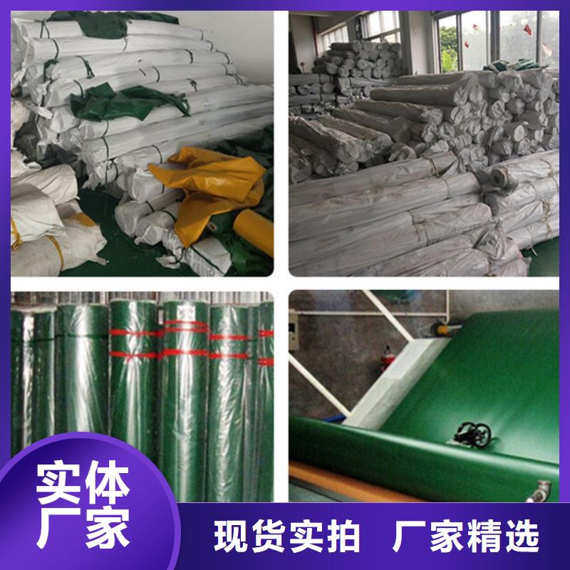 防雨布多功能彩條布源頭直供