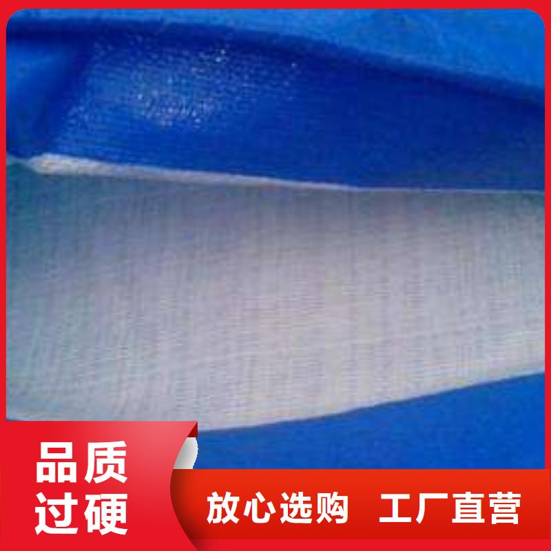 防雨布雙覆膜彩條布可定制