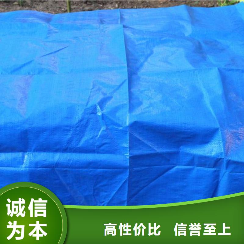 防雨布多功能彩條布源頭直供