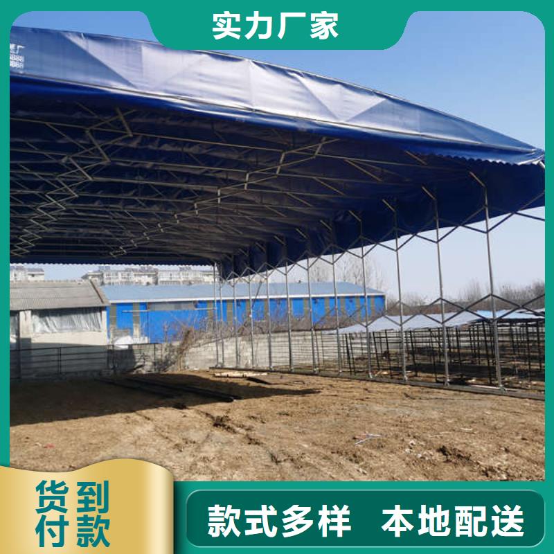 倉儲物流帳篷按需定制