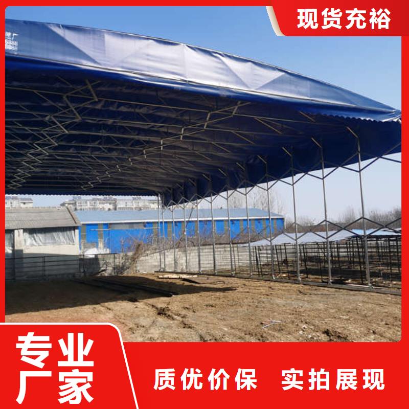 電動(dòng)折疊篷