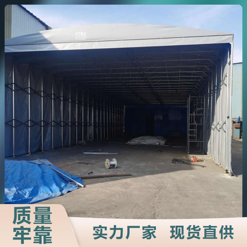电动雨棚实力厂家
