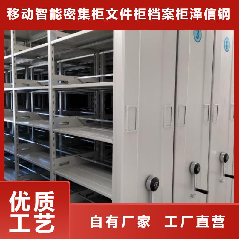 高標(biāo)準(zhǔn)【澤信】香樟木密集架