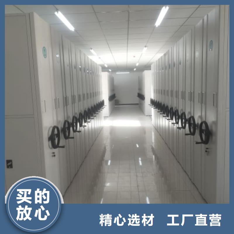 質(zhì)地優(yōu)良【鑫康】香樟木密集架