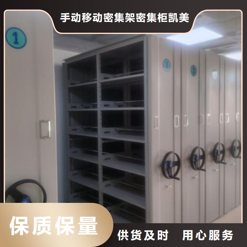 專(zhuān)業(yè)銷(xiāo)售樟木密集架-保量