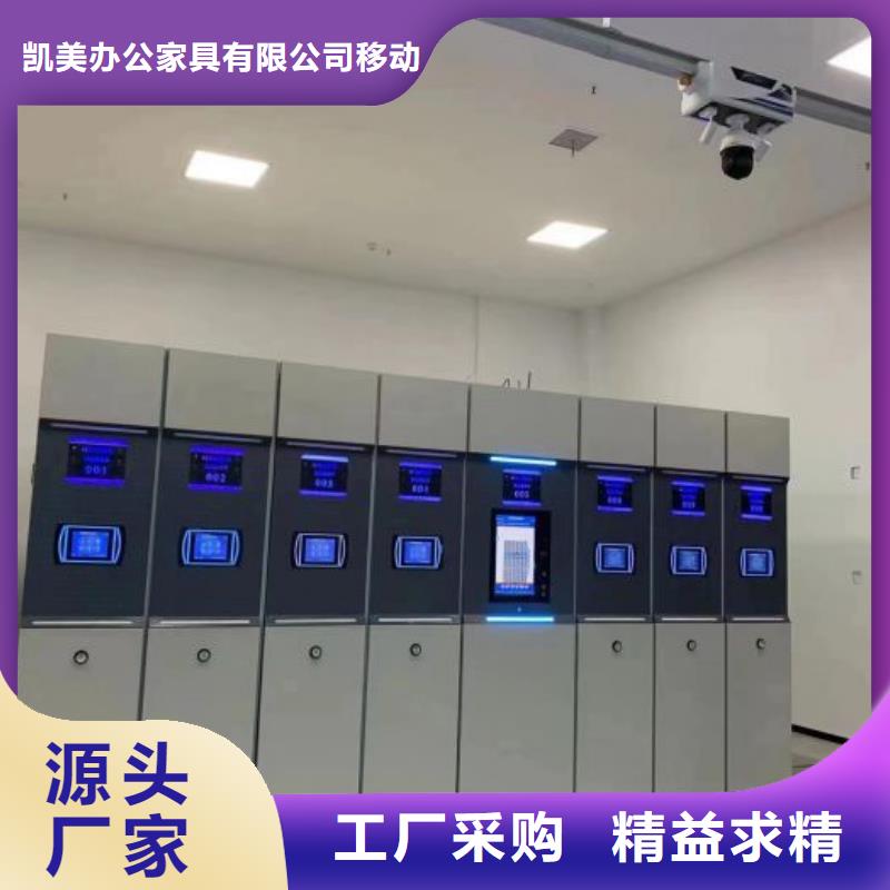 圖紙定做創(chuàng)造輝煌【凱美】蠟片密集柜