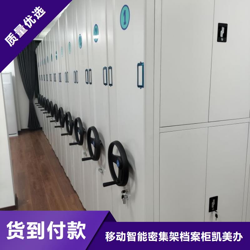分銷商【凱美】企業(yè)檔案庫密集柜