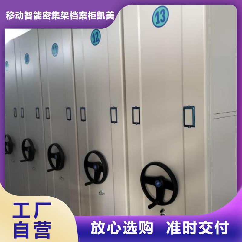 檔案架專業(yè)定制