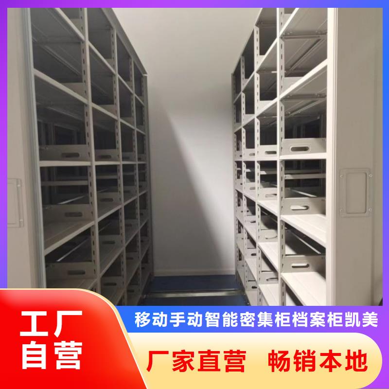 認(rèn)真負責(zé)【凱美】定安縣文件密集柜