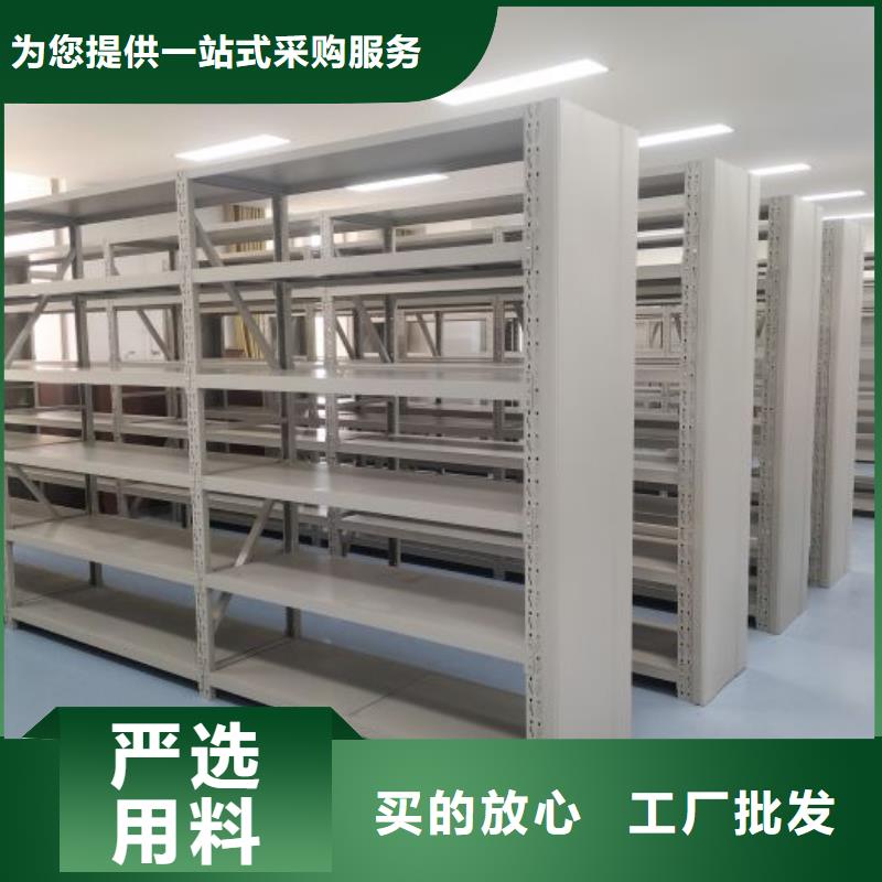 直列式移動(dòng)密集架實(shí)體大廠