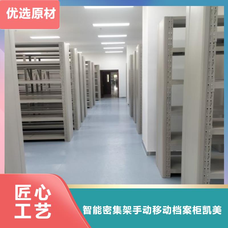 销售公司【凯美】网片式油画密集架